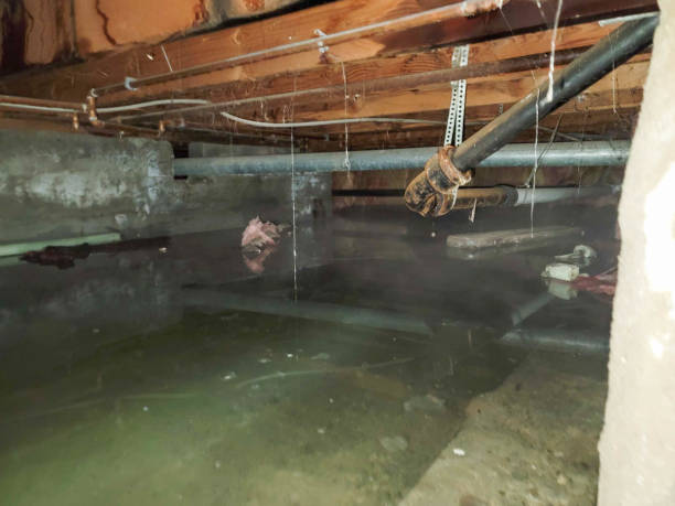 Sewage cleanup and water damage restoration in Three Rivers, TX