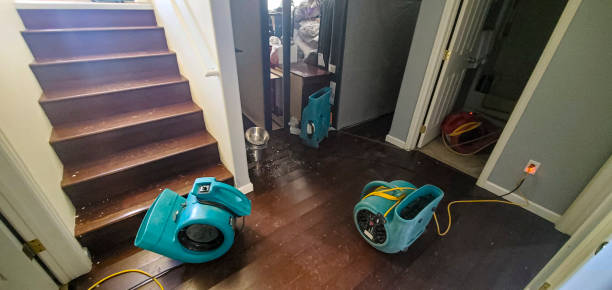 Best Local water damage restoration  in Three Rivers, TX