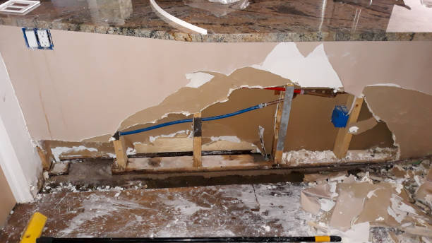 Best Flood damage cleanup  in Three Rivers, TX
