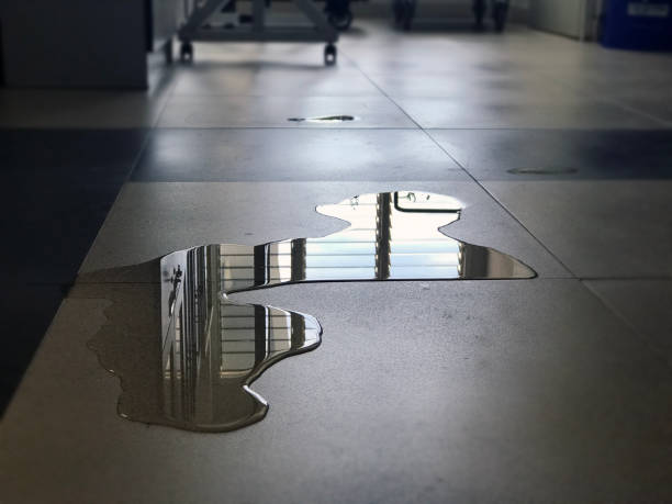 Best Water damage contractors near me  in Three Rivers, TX
