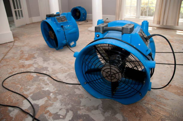 Best Emergency water extraction  in Three Rivers, TX