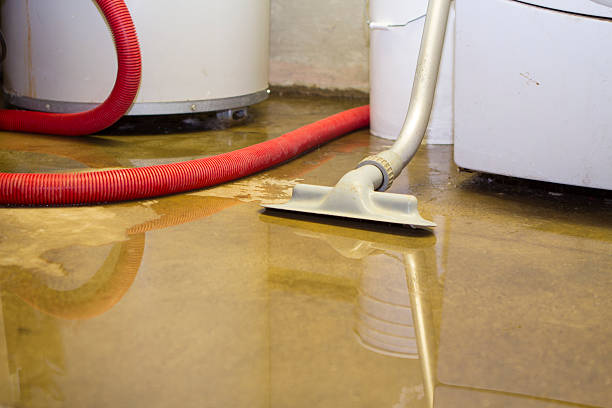 Best Sewage cleanup and water damage restoration  in Three Rivers, TX