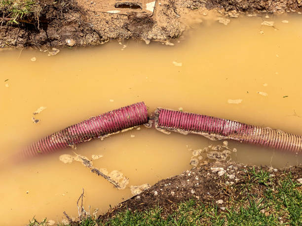 Best 24-hour water damage restoration  in Three Rivers, TX