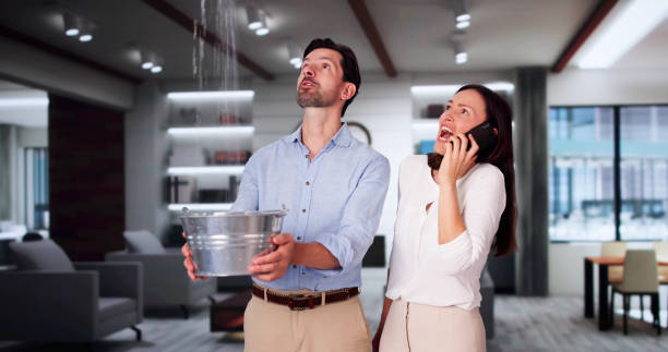Best Professional water damage repair  in Three Rivers, TX